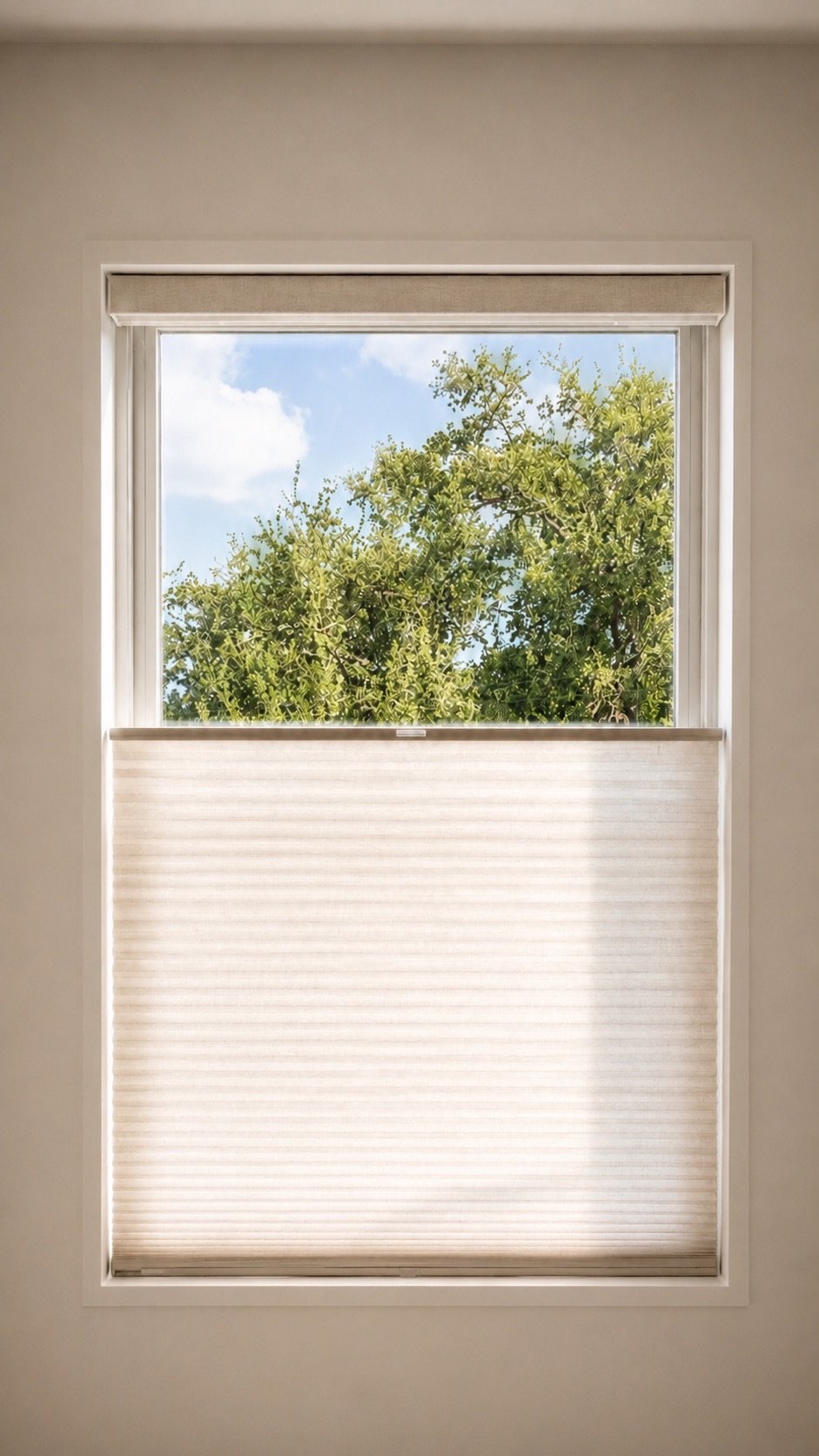 Cellular Shades